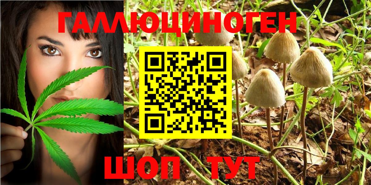 Псилоцибиновые грибы Psilocybe Ликино-Дулёво