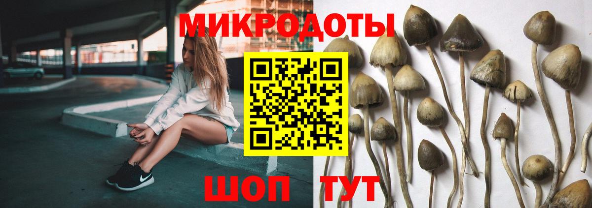 Галлюциногенные грибы Magic Shrooms  Вход с VPN  Ликино-Дулёво  Галлюциногенные грибы Cubensis 